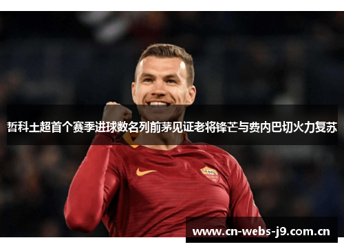 哲科土超首个赛季进球数名列前茅见证老将锋芒与费内巴切火力复苏